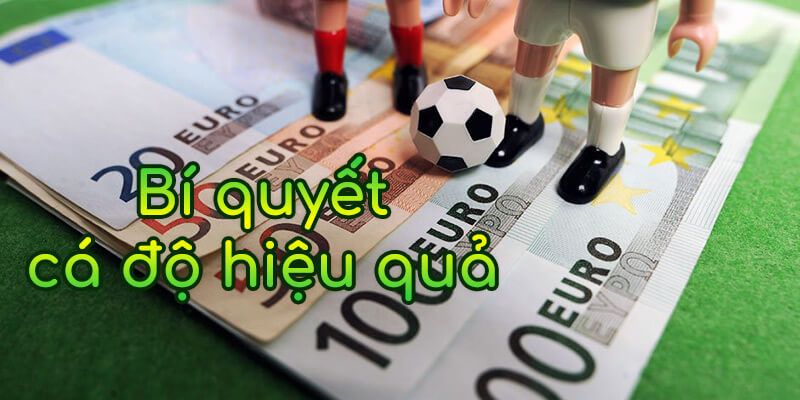 Bỏ túi thủ thuật cược thể thao saba hiệu quả tại nhà cái 