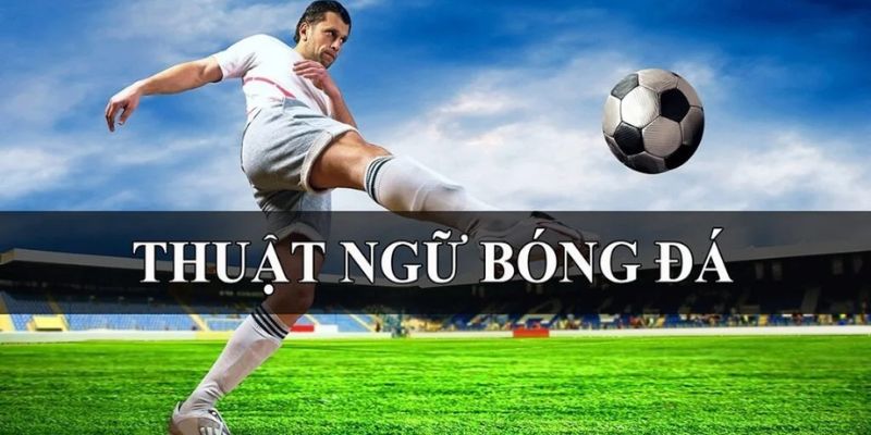 Các thuật ngữ thường xuất hiện trong kèo châu Âu hiện nay 